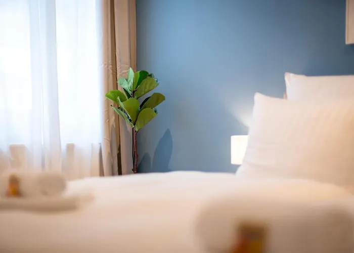 Shiny Homes - Elegant